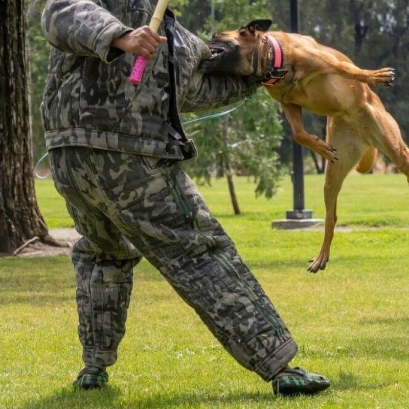 Man in camouflage with a dog on a leash,