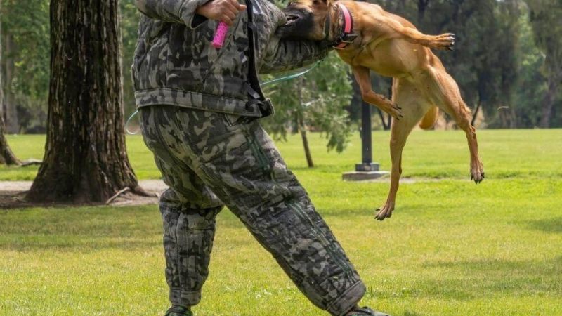 Man in camouflage with a dog on a leash,