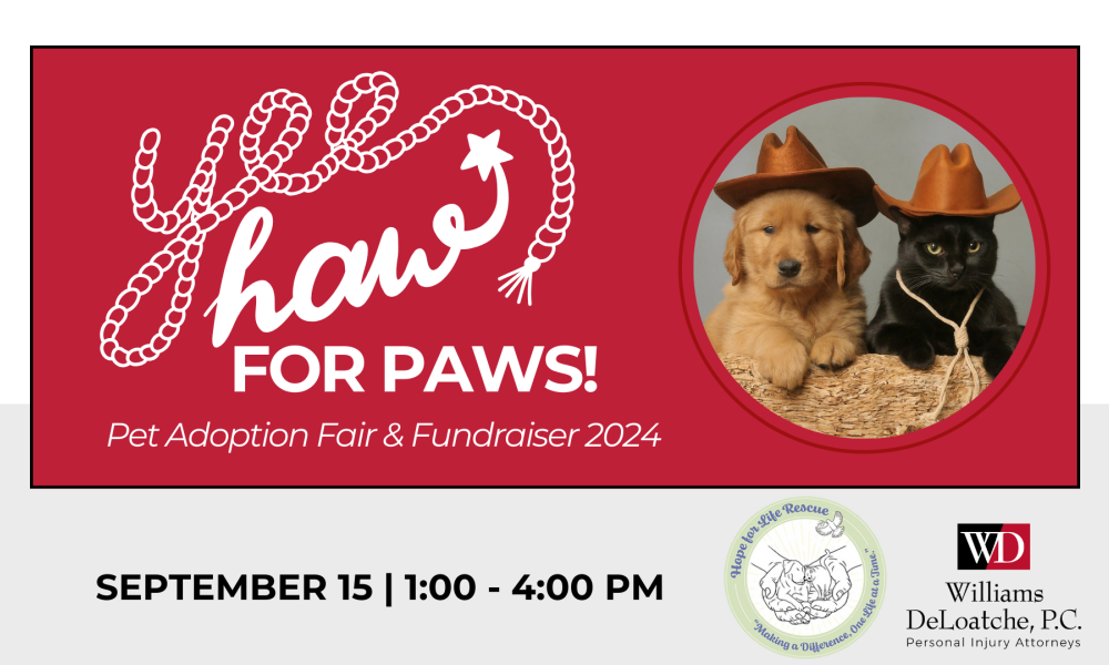 Cartel del evento Yeehaw for Paws con un gato y un perro con sombreros de vaquero promocionando una feria de adopción de mascotas y recaudación de fondos el 15 de septiembre.