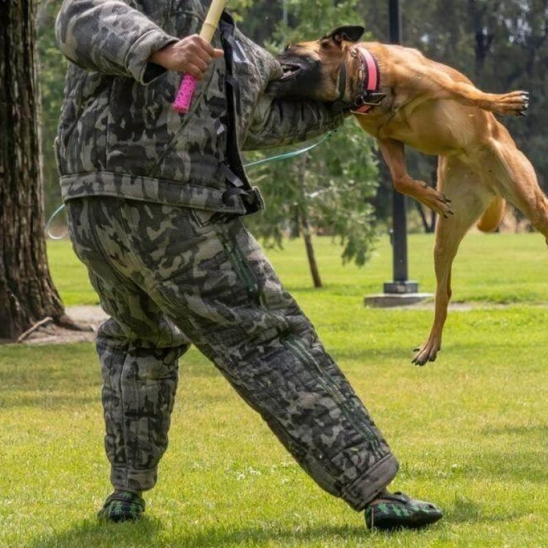 Hombre con ropa de camuflaje y un perro con correa.