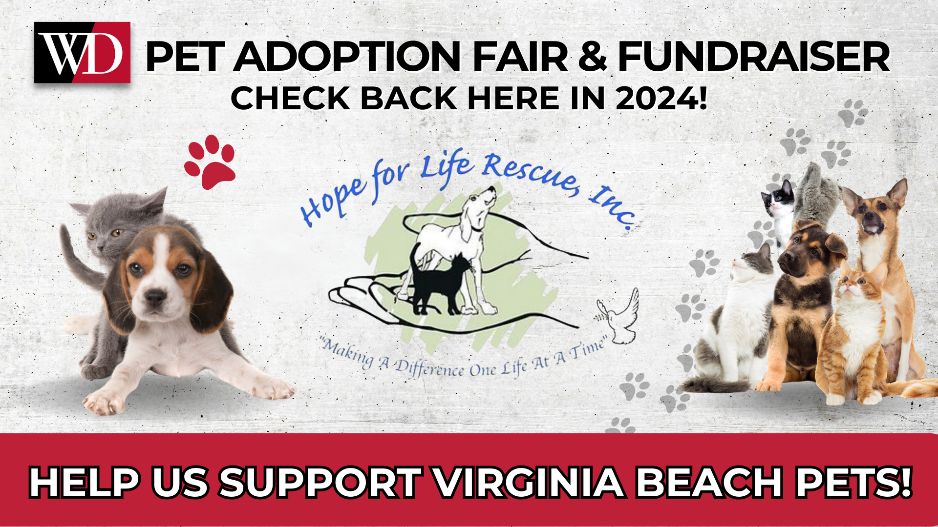Pet Adoption Fair Header 2023