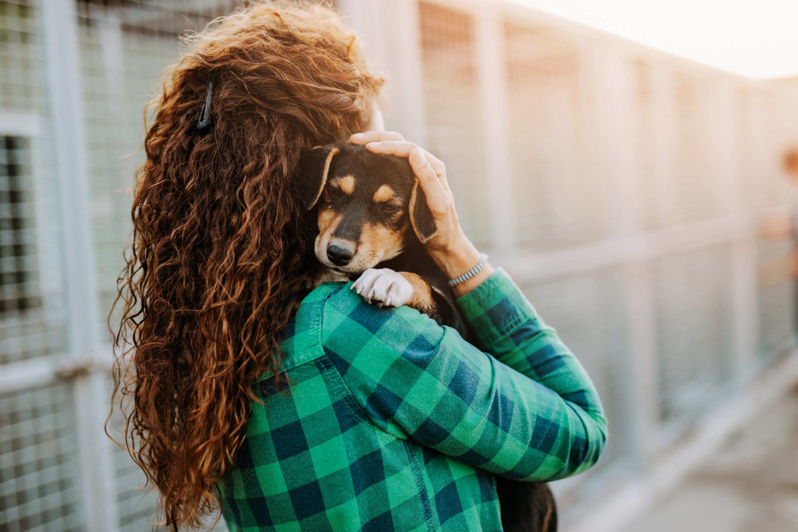 Woman adopting a black and brown puppy from an animal shelter