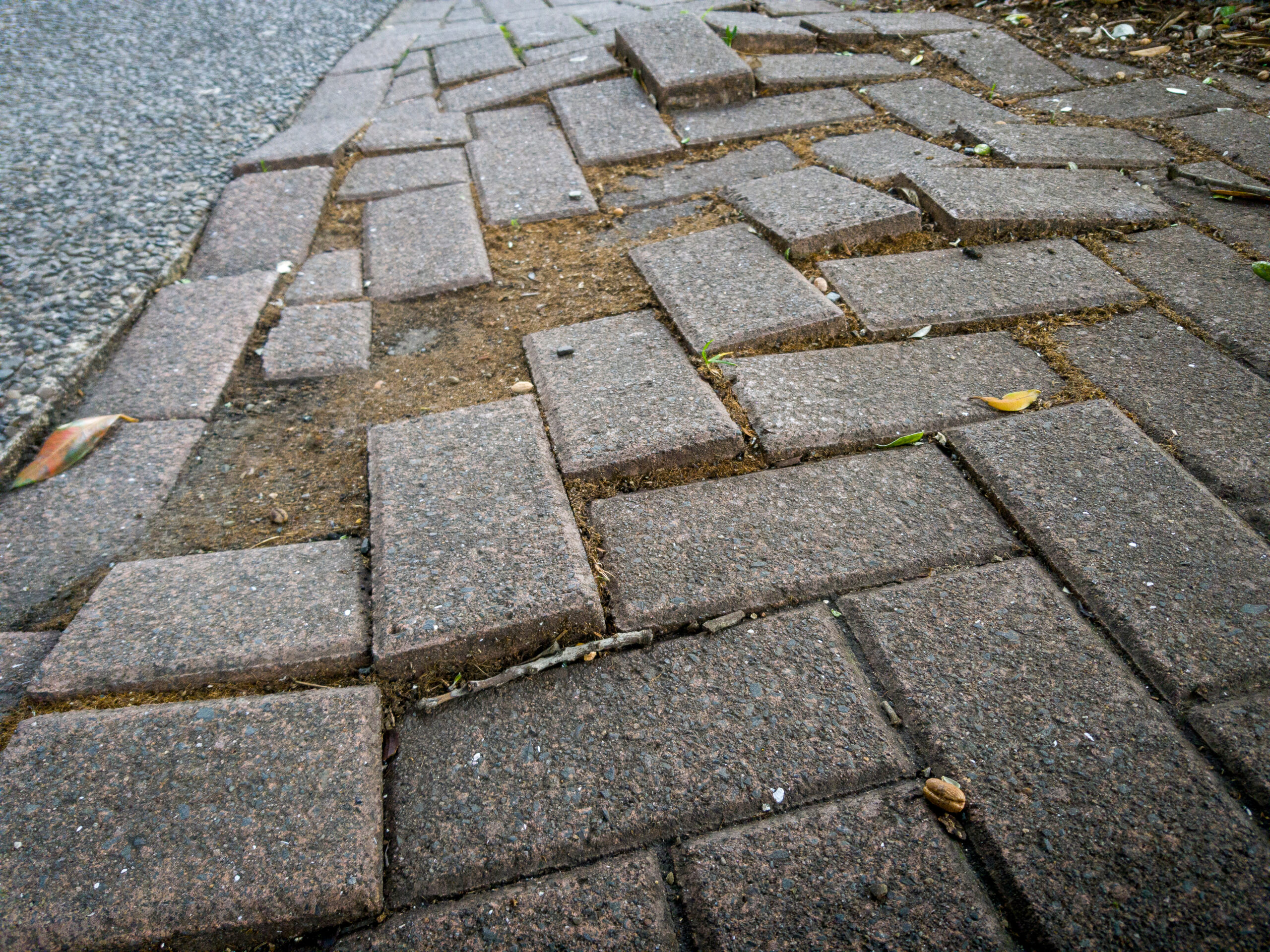 Uneven and missing pavers on a sidewalk are a tripping hazard